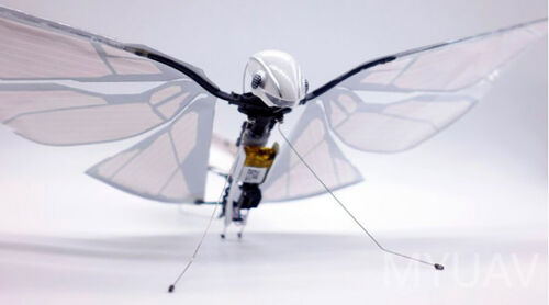 에 관한 최신 회사 뉴스 바이오닉 UAV 기술 이론 분석, 플래핑 윙 UAV 기술 상세 설명